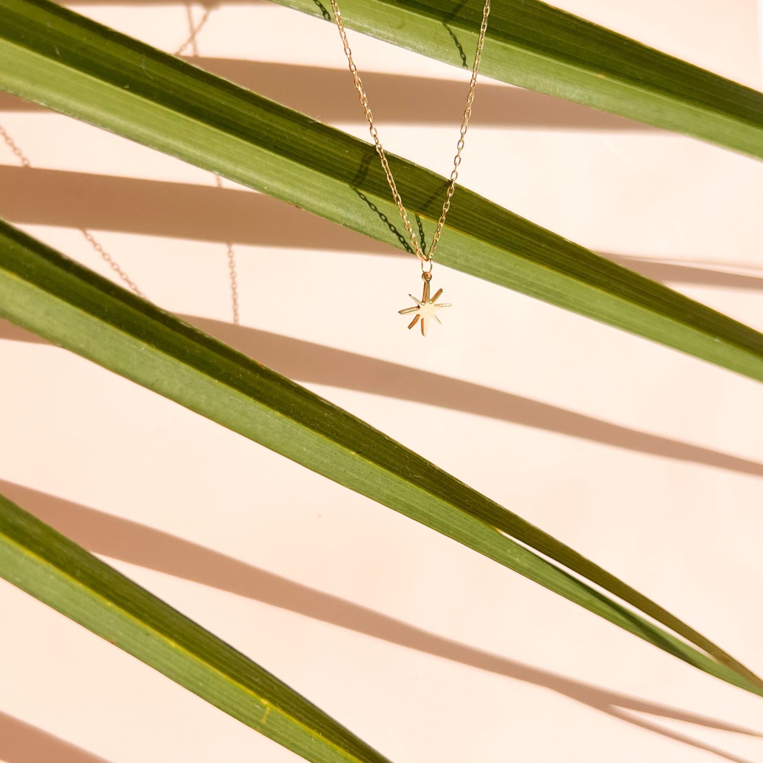 Enti Najma necklace, handmade in yellow 18k gold with a delicate star pendant, displayed against palm leaves and soft shadows